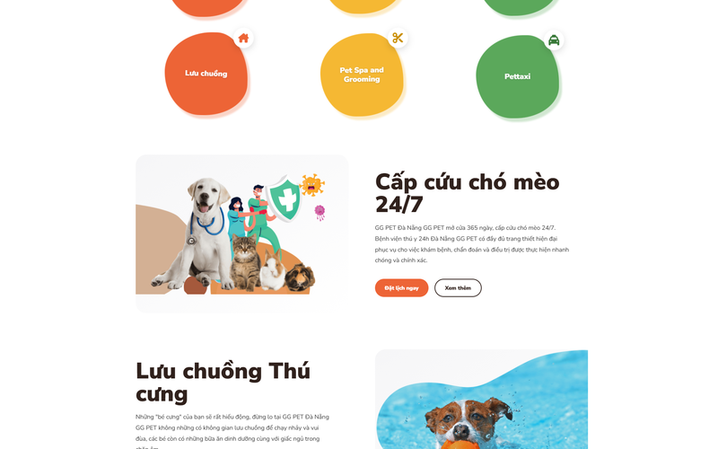 Thông tin dịch vụ